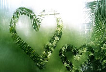 哪里能找到皇马对阵马竞的欧冠决赛视频？这场对决有哪些经典瞬间值得回味？